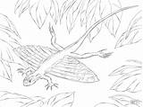 Lizard Xianglong Ausmalbilder Ausmalbild Draco Kleurplaat Komodo Dessin Flugdrachen Hagedis Komodovaraan Lizards Coloringbay Echsen sketch template