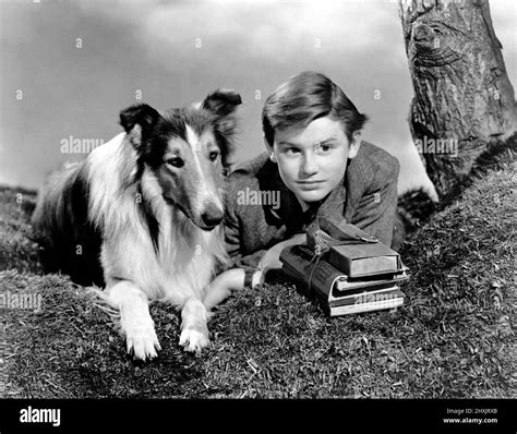 roddy mcdowall in lassie come home 1943 directed by fred m wilcox