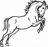 Horse Coloring Jumping Pages Clip Outline Clipart Horses Kids sketch template