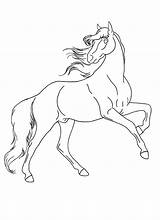 Rearing Stallion Lineart Drawing Horse American Deviantart Getdrawings sketch template