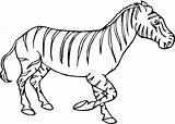 Zebra Coloring Pages Zebras Baby Kids Printable Color Super Clipart Online Drawing Supercoloring Cute Gif Print Comments sketch template