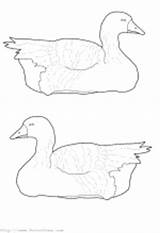 Coloring Pages Geese Animals Book Animal Duck sketch template