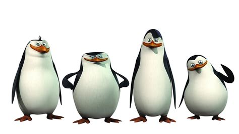 penguins  madagascar wears    slapstick