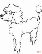 Coloring Poodle Cartoon Pages Printable Dogs Funny Drawing Adult Bulldog Sketch Template Supercoloring Categories sketch template