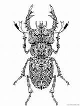 Zentangle Coloring4free Coloring Animal Pages Printable Beetle Related Posts sketch template