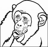 Chimpanzee Coloring Drawing Pencil Face Printable Getcolorings Pages Clipartmag sketch template