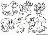 Coloring Pages Ocean Preschool Sea Animal Popular sketch template