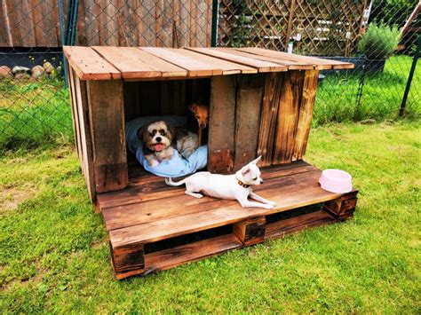 easy dog house plans