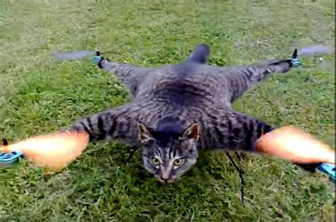 catcopter sharkjet bizarre artist turns dead pets  drones ht tech