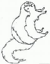 Skunk sketch template