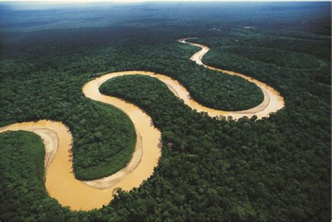 lo  debes saber sobre el rio amazonas fundacion aquae