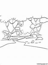 Forest Coloring Pages Drawing Kids Deciduous Printable Forests Outline Landscape Getcolorings Jungle Color Template Scenes Scene Winter Getdrawings Paintingvalley Choose sketch template