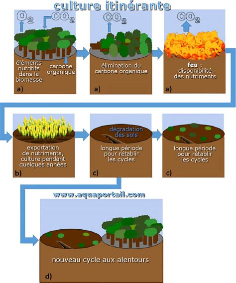 culture itinerante definition  explications