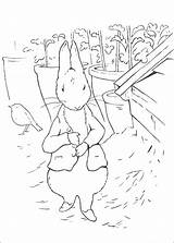 Coloring Pages Potter Beatrix Rabbit Getcolorings Getdrawings sketch template