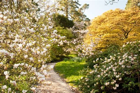 sensational spring gardens  visit  april  english garden