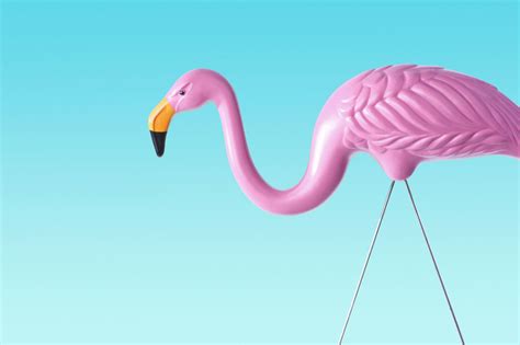 6 Things You Didnt Know About Flamingo Lawn Ornaments Plastic Pink