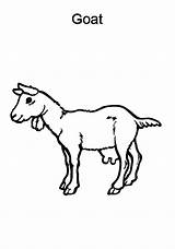 Goat Coloring Pages sketch template