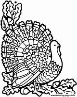 Coloring Pages Turkey November Thanksgiving Printable Pdf Kids Adults Color Sheets Head Print Adult Printables Advanced Template Printouts Getcolorings Getdrawings sketch template
