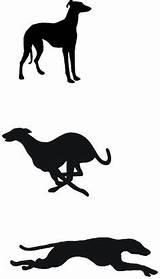Greyhound Whippet Galgos Windhund Galgo Podenco Aufkleber Gatti Lurcher Perro Greyhounds Cani Windhunde Clipground Hunde Levriero Hound Silhoutte Abrir sketch template