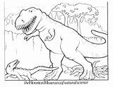 Dinosaur Coloring Rex Pages Printable Library Insertion Codes sketch template