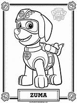 Paw Coloring Pages Zuma Patrol sketch template
