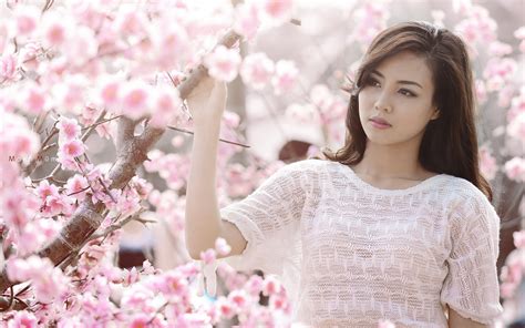 Asian Brown Eyes Brunette Long Hair Sakura Blossom Woman Wallpaper