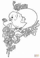 Easter Coloring Chick Pages Printable Chicks Baby Categories sketch template