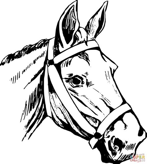 vintage horse head coloring page  printable coloring pages