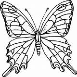 Outline Butterflies Colouring Butterfly Coloring Pages Clipart Wings Wing Printable Flower Drawing Clipartbest Tracing Realistic sketch template