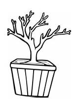 Bonsai Coloring Pot Tree sketch template