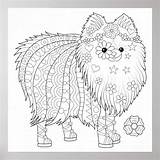 Pomeranian Colorable sketch template