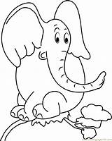 Horton Coloring Elefant Baum Elefanten Sitzt Ausmalbild Ausmalen Ausdrucken Coloringpages101 Acessar sketch template