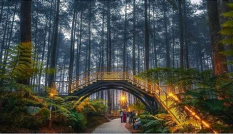 tempat wisata terkenal  lembang bandung  jadi favorit wisatawan