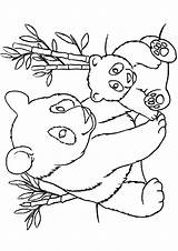 Panda Coloring Pages Bear Printable Bamboo Baby Color Bears Manatee Animal Colouring Print Sheets Pandas Momjunction Kids Getdrawings Getcolorings Little sketch template