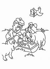 Varkens Dieren Boerderijdieren sketch template