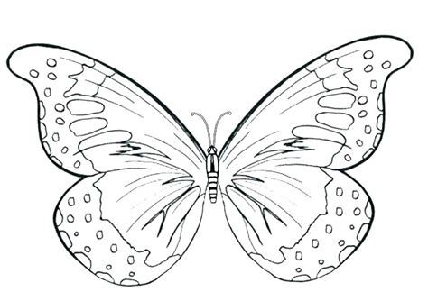 cute coloring pages butterfly mackira thanatos