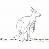 Kangaroo Coloring Pages Males Fighting Adult Red Coloringpages101 Kids sketch template