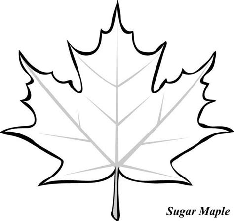 maple leaf printable clipart