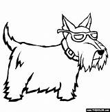 Dog Terrier Scottish Scottie Dogs Coloring Line Pages Color Online Puppies Puppy Drawings Clip Dibujos Graphics Thecolor Quilts Colouring Animals sketch template