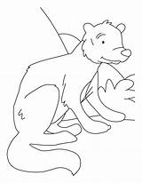Coloring Mongoose Pages Tailed Getdrawings Drawing sketch template