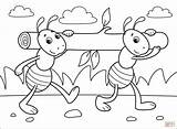 Coloring Pages Ants Ant Printable sketch template