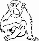 Singe Drawing Coloriages Monkeys Colorier Ko Library Singes sketch template