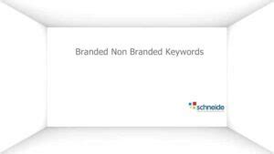 difference  branded   branded keywords  seo schneide