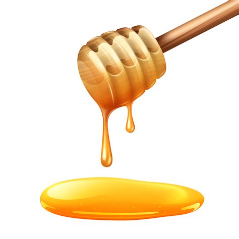 honey stick illustration  vector art  vecteezy