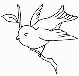 Bluebird Pitigoi Colorat Planse Desene Pasari Pasare Animale Salbatice Educative sketch template
