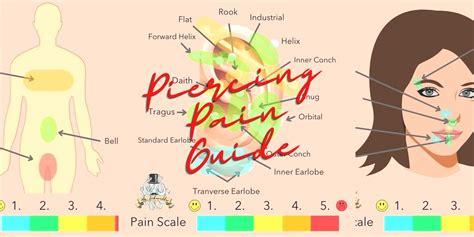 piercing pain chart  bad   piercing hurt mrinkwells