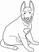 Berger Allemand Coloriage Perros Herder Colorier Honden Duitse Colorare Cani Disegno sketch template