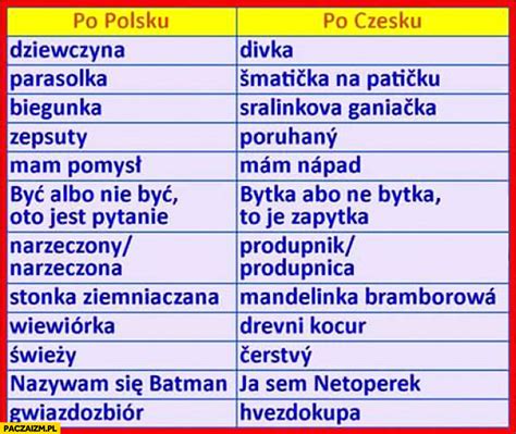 slowa po polsku po czesku fail paczaizmpl