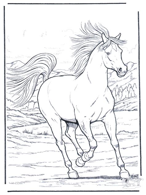 wild horse realistic printable horse coloring pages pic power