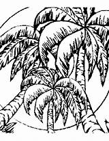 Bahamas Coloring Pages Designlooter 388px 94kb Getdrawings Getcolorings Palm Tree sketch template